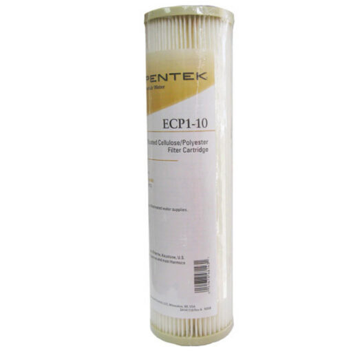 Pentek ECP1-10